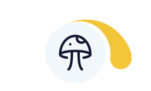בריכת הפעוטות